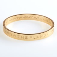 I Know the Plans Hinged Bangle