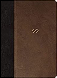 RVR 1960 Biblia temática de estudio, marrón oscuro/marrón pi