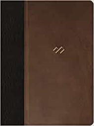 RVR 1960 Biblia temática de estudio, marrón oscuro/marrón pi