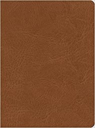 CSB He Reads Truth Bible, Saddle LeatherTouch, Indexed