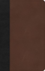 CSB Thinline Bible, Black/Brown LeatherTouch