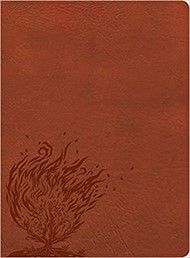 CSB Experiencing God Bible, Burnt Sienna LeatherTouch