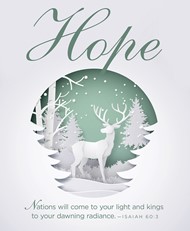 Hope Paper Art Advent Bulletin, Large (Pkg of 50)