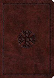 ESV Large Print Bible (TruTone)