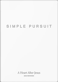 Simple Pursuit