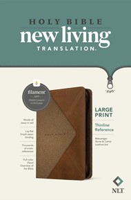 NLT Large Print Thinline Reference Zipper Bible, Filament