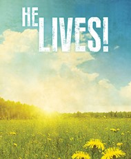 He Lives! Images Easter Bulletin, Large (Pkg of 50)