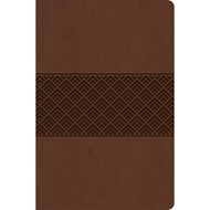 CSB Everyday Study Bible, Brown Burnished, Global