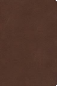 CSB Rainbow Study Bible, Brown LeatherTouch