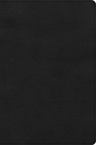 CSB Large Print Thinline Bible, Black LeatherTouch