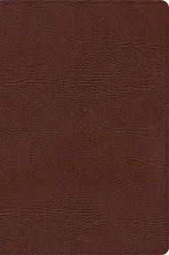 CSB Large Print Thinline Bible, Brown Bonded Leather