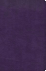 CSB Large Print Personal Size Reference Bible, Purple