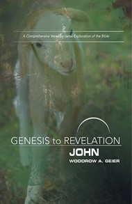 Genesis to Revelation: John Participant Book