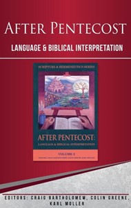 After Pentecost (Scripture & Hermeneutics Series)