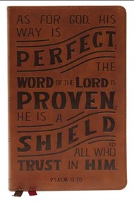 NKJV Personal Size Reference Bible, Tan, Red Letter