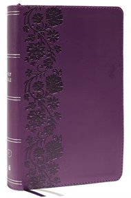 KJV Personal Size Large Print Reference Bible, Indexed