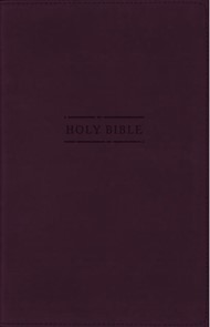 NRSVue Gift Bible Leathersoft, Burgundy, Comfort Print