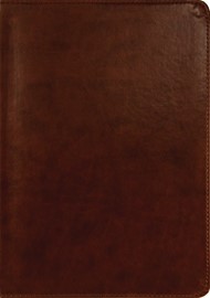 ESV New Testament with Psalms and Proverbs, Chestnut