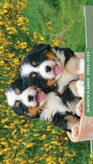 2023 28 Month Planner: Puppies