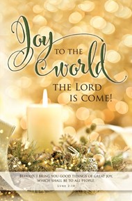 Joy to the World Christmas Bulletin (pack of 100)