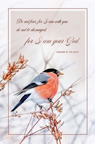 Do Not Fear For I Am With You Bulletin (pack of 100)