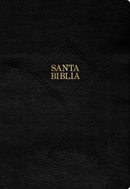 RVR 1960 Biblia letra súper gigante edition 2023 negro, piel