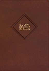 RVR 1960 Biblia Letra Súper Gigante edición 2023 marrón, pie