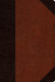 ESV Reader's Bible, Brown/Cordovan, Portfolio Design