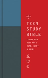 ESV Teen Study Bible (Cliffside)