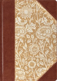 ESV Single Column Journaling Bible, Large Print