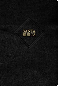 RVR 1960 Biblia Letra Grande TamañO Manual, Negro