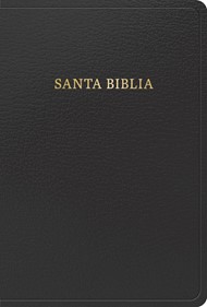 RVR 1960 Biblia Letra Grande Tamaño Manual, Negro