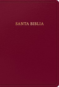 RVR 1960 Biblia Letra Grande Tamaño Manual, Borgoña