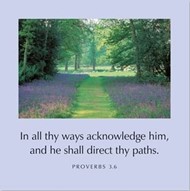 In All Thy Ways Acknowledge Him-Proverbs 3:6 Greetings Cards