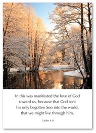 The Love of God Toward Us - 1 John 4:9 Greetings Cards