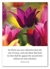 Christ Was Once Offered - Hebrews 9:28 Greetings Cards