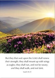 But They That Wait Upon the LORD - Isaiah 40:31 Cards