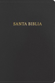 RVR 1960 Biblia Letra Gigante, Negro, Imitación Piel