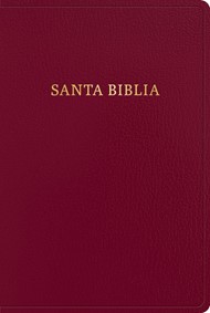 RVR 1960 Biblia Letra Gigante, Borgoña, Imitación Piel