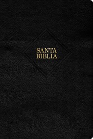 RVR 1960 Biblia Letra Gigante, Negro, Piel Fabricada