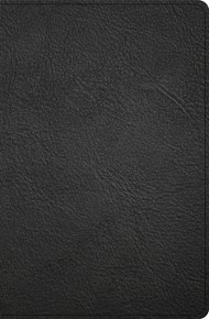 KJV Personal Size Giant Print Bible, Black Genuine Leather