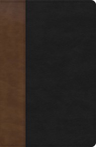 KJV Personal Size Giant Print Bible, Black/Brown, Indexed