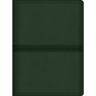 CSB Men's Daily Bible, Olive Leathertouch, Indexed