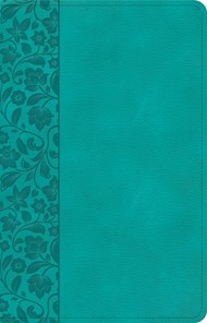 NASB Personal Size Bible, Teal Leathertouch