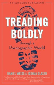 Treading Boldly Though a Pornographic World