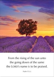 The LORD's Name is to be Praised - Greeting Cards