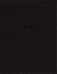 NRSVue, Holy Bible With Apocrypha, Journal Edition, Leathers