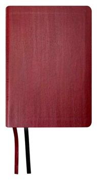 NASB 2020 Large Print Compact Bible, Red, Leathertex