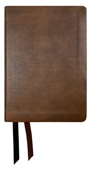 NASB 2020 Large Print Compact Bible, Brown, Leathertex