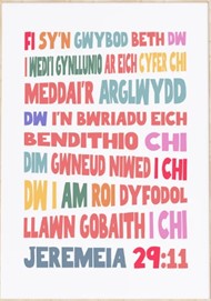 Welsh - For I Know The Plans I Have For You - Jeremiah 29:11